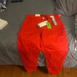 Blue Spice Vibrant Red Ankle Pants